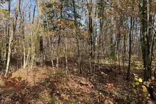 Lot 17 &amp 18 Sleepy Fawn Ln, Delta, WI 54847 - Photo 5