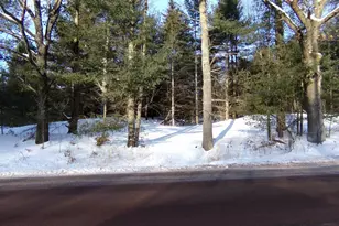 Tbd S County Rd F, Lake Nebagamon, WI 54849 - Photo 3