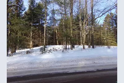 Tbd S County Rd F, Lake Nebagamon, WI 54849 - Photo 5