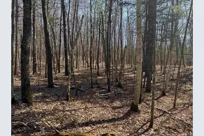 5 Acres On Spring Lake Rd, Trego, WI 54888 - Photo 11