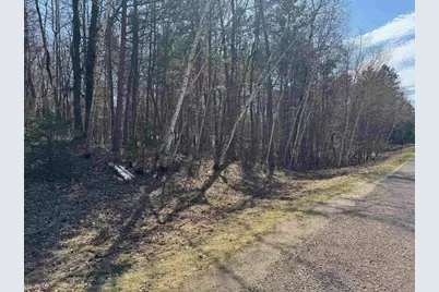 5 Acres On Spring Lake Rd, Trego, WI 54888 - Photo 15