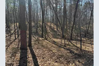 5 Acres On Spring Lake Rd, Trego, WI 54888 - Photo 13