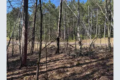 5 Acres On Spring Lake Rd, Trego, WI 54888 - Photo 7