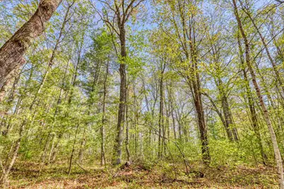 10148 N McClaine Rd, Hayward, WI 54843 - Photo 53