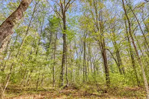 10148 N McClaine Rd, Hayward, WI 54843 - Photo 53