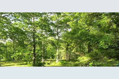 83Xxx Ashwabay Heights Rd, Bayfield, WI 54814 - Photo 5