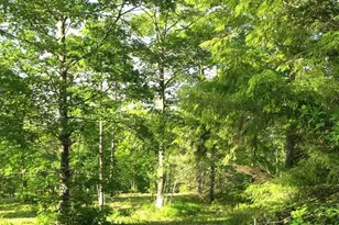 83Xxx Ashwabay Heights Rd, Bayfield, WI 54814 - Photo 5