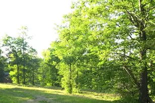 83Xxx Ashwabay Heights Rd, Bayfield, WI 54814 - Photo 3