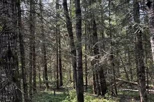 80 Acres County Hwy E, Hawthorne, WI 54842 - Photo 5