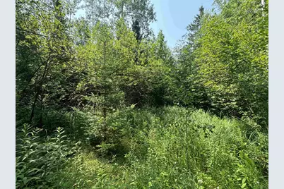 80 Acres County Hwy E, Hawthorne, WI 54842 - Photo 3