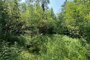 80 Acres County Hwy E, Hawthorne, WI 54842 - Photo 3