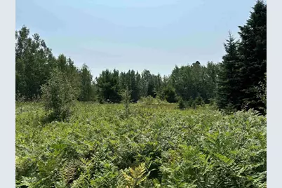 68 Acres County Hwy E, Hawthorne, WI 54842 - Photo 5