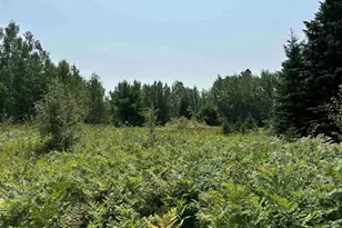 68 Acres County Hwy E, Hawthorne, WI 54842 - Photo 5