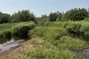 68 Acres County Hwy E, Hawthorne, WI 54842 - Photo 3