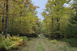 63380 Trout Lake Rd, Iron River, WI 54847 - Photo 35