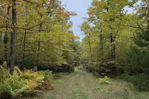 63380 Trout Lake Rd, Iron River, WI 54847 - Photo 35