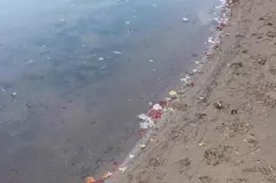 53710 E Ellison Lake Rd, Barnes, WI 54873 - Photo 31