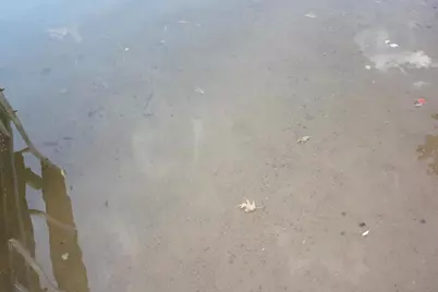 53710 E Ellison Lake Rd, Barnes, WI 54873 - Photo 33