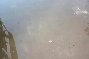 53710 E Ellison Lake Rd, Barnes, WI 54873 - Photo 33