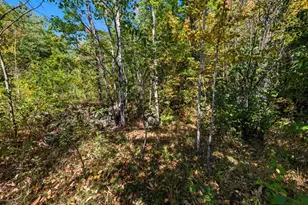 85Xxx Apple Hill Rd, Bayfield, WI 54814 - Photo 19
