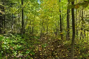 85Xxx Apple Hill Rd, Bayfield, WI 54814 - Photo 21