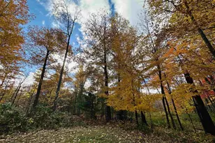 6955 Kolling Rd, Iron River, WI 54847 - Photo 17