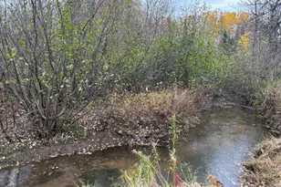 8353 Mannik Rd, Iron River, WI 54847 - Photo 17