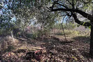 202 N 58th St, Superior, WI 54880 - Photo 29