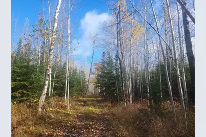 85255 Ravine Rd, Port Wing, WI 54865 - Photo 59