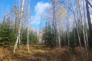 85255 Ravine Rd, Port Wing, WI 54865 - Photo 59