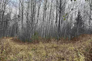 55260 Hwy 63, Grand View, WI 54839 - Photo 37