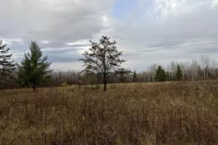 55260 Hwy 63, Grand View, WI 54839 - Photo 53