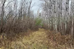 55260 Hwy 63, Grand View, WI 54839 - Photo 45