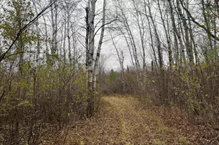 55260 Hwy 63, Grand View, WI 54839 - Photo 47