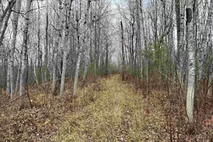 55260 Hwy 63, Grand View, WI 54839 - Photo 39