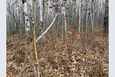 55260 Hwy 63, Grand View, WI 54839 - Photo 43