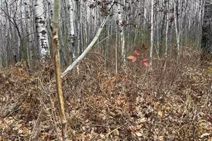 55260 Hwy 63, Grand View, WI 54839 - Photo 43