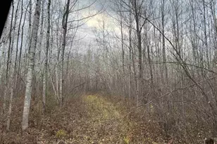 55260 Hwy 63, Grand View, WI 54839 - Photo 55