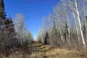 55260 Hwy 63, Grand View, WI 54839 - Photo 59