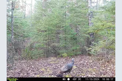 6692 County Rd C, South Range, WI 54874 - Photo 33