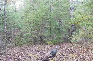 6692 County Rd C, South Range, WI 54874 - Photo 33