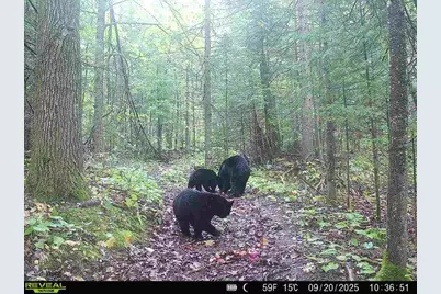 6692 County Rd C, South Range, WI 54874 - Photo 29