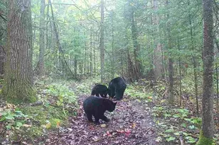 6692 County Rd C, South Range, WI 54874 - Photo 29