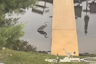 66895 S Spider Lake Rd, Iron River, WI 54847 - Photo 39