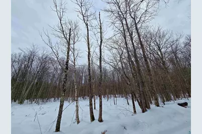 12Xxx Olson Rd, Hayward, WI 54843 - Photo 7