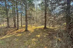 864Xx Lenawee Rd, Herbster, WI 54844 - Photo 9