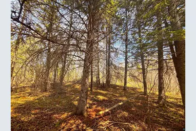 864Xx Lenawee Rd, Herbster, WI 54844 - Photo 9