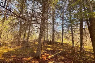 864Xx Lenawee Rd, Herbster, WI 54844 - Photo 9