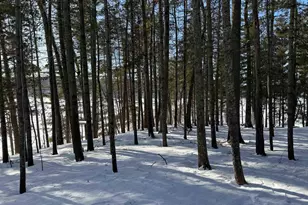 6575 Kolling Rd, Iron River, WI 54847 - Photo 29