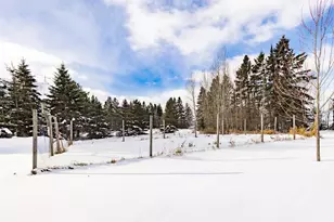 87985 Bark Point Rd, Herbster, WI 54844 - Photo 55